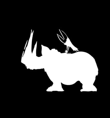 Festival Rhino Jazz(s)