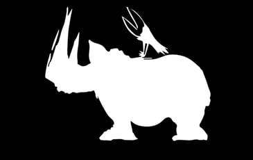 Festival Rhino Jazz(s)