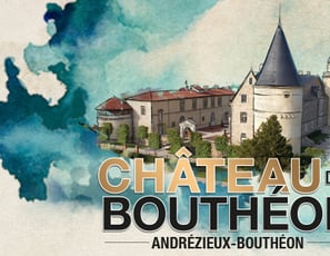 Château De Bouthéon