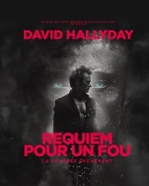 David Hallyday, Requiem pour un fou