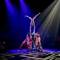 Moya, Zip Zap Circus