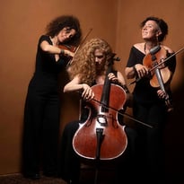 Trio Zephyr