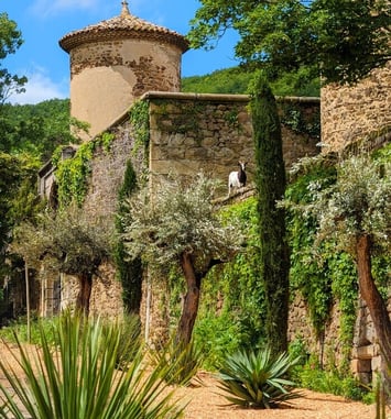 Présentation de l'avancement des travaux du château