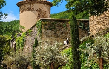Présentation de l'avancement des travaux du château