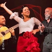 El Aire, Flamenco