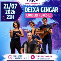 Deixa Gingar Gigando