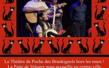 Trotwood et le Concert Irlandais