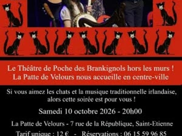 Trotwood et le Concert Irlandais