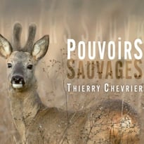 Pouvoirs sauvages, exposition photographique de Thierry Chevrier