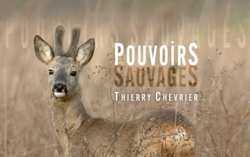 Pouvoirs sauvages, exposition photographique de Thierry Chevrier