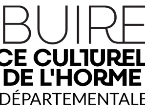 Espace culturel la Buire