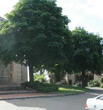 Visite Eglise de Pouilly-les-Nonains