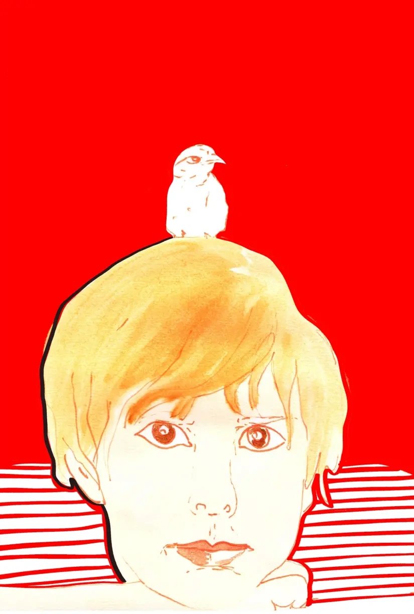 Oiseau | guide de survie
