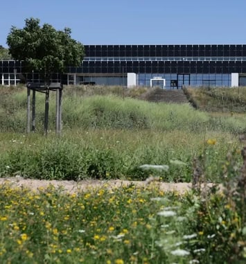 Le MAMC+, architecture et jardin