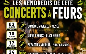 Feurs en Fête