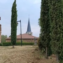 Visite guidée du bourg médiéval