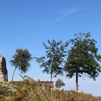 Balade contée sur les chemins du bois des Gaulois et du Sylvetum de Marols
