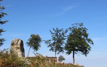 Balade contée sur les chemins du bois des Gaulois et du Sylvetum de Marols