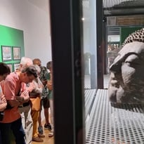 Visite des réserves du musée