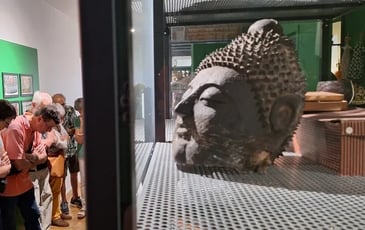Visite des réserves du musée