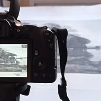 Les coulisses du musée "Conservation et collections"