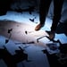 Cie La Traversée