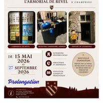 Armorial de Revel / Places fortes foréziennes