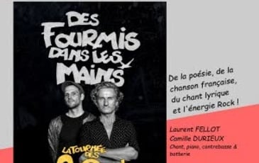 Des Fourmis dans les Mains - Duo