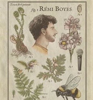 Remi Boyes